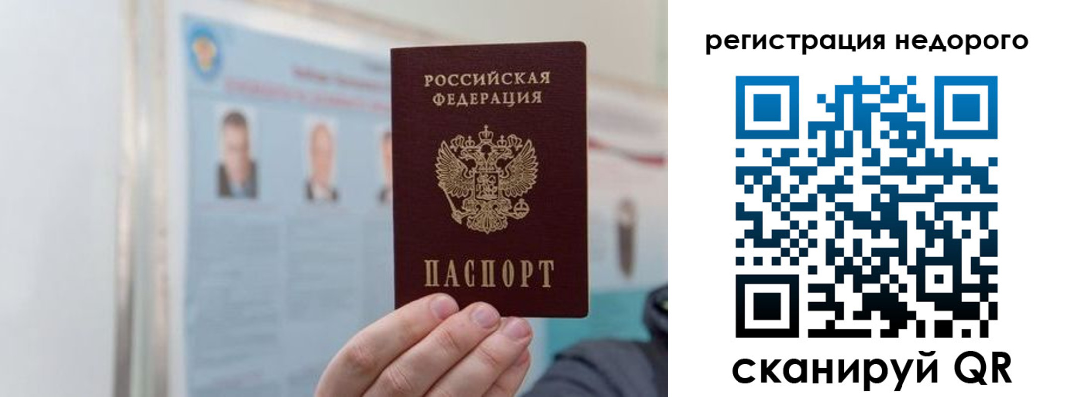 прописка 2025 в Дмитрове